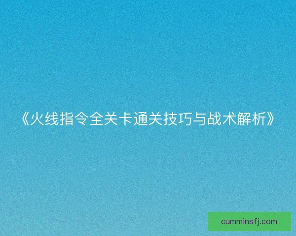 《火线指令全关卡通关技巧与战术解析》