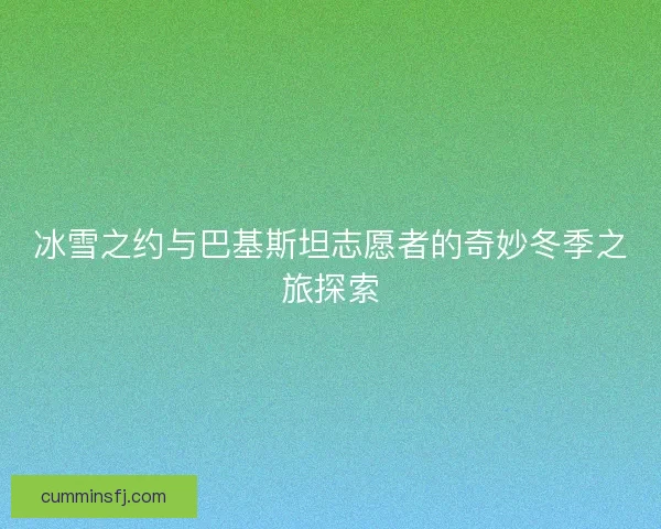 冰雪之约与巴基斯坦志愿者的奇妙冬季之旅探索